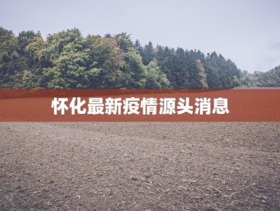 怀化最新疫情源头消息