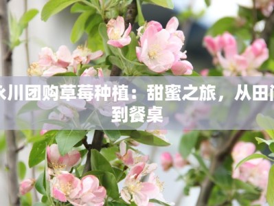 永川团购草莓种植：甜蜜之旅，从田间到餐桌