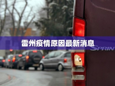雷州疫情原因最新消息