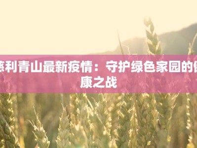慈利青山最新疫情：守护绿色家园的健康之战