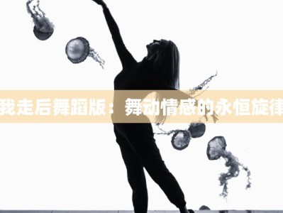 我走后舞蹈版：舞动情感的永恒旋律