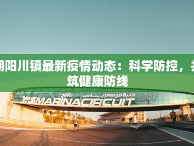 新化疫情最新：科学防控，守护健康家园