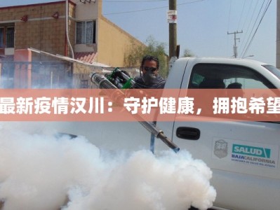 最新疫情汉川：守护健康，拥抱希望
