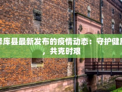 疫情最新报道兰陵疫情