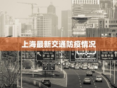上海最新交通防疫情况