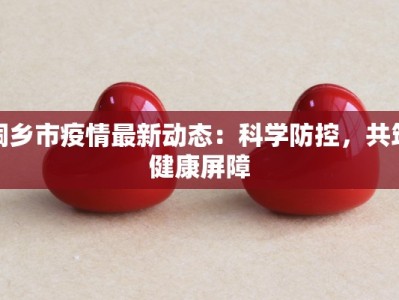 汇报甘肃最新疫情