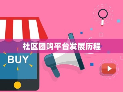 社区团购平台发展历程