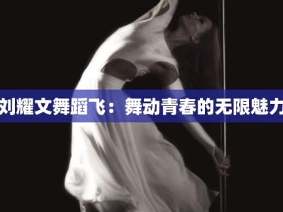 刘耀文舞蹈飞：舞动青春的无限魅力