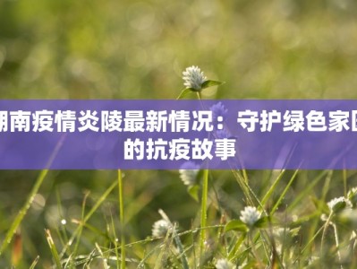 湖南疫情炎陵最新情况：守护绿色家园的抗疫故事