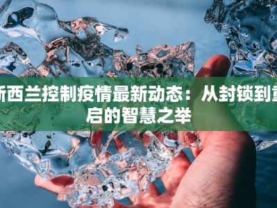新西兰控制疫情最新动态：从封锁到重启的智慧之举