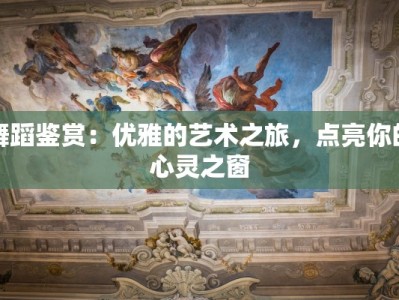 舞蹈鉴赏：优雅的艺术之旅，点亮你的心灵之窗