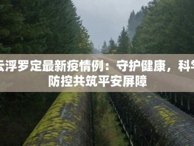 云浮罗定最新疫情例：守护健康，科学防控共筑平安屏障