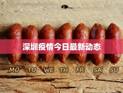 深圳疫情今日最新动态