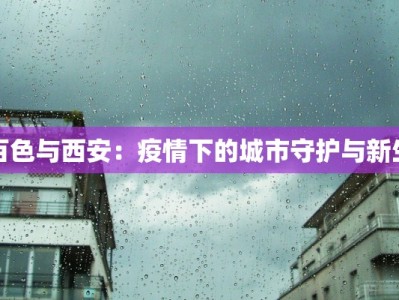百色与西安：疫情下的城市守护与新生