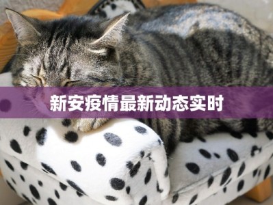 新安疫情最新动态实时