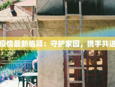 疫情最新临颍：守护家园，携手共进