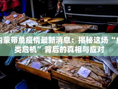 内蒙带鱼疫情最新消息：揭秘这场“鱼类危机”背后的真相与应对