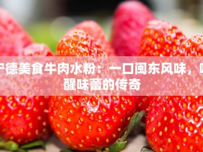 宁德美食牛肉水粉：一口闽东风味，唤醒味蕾的传奇