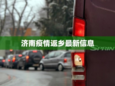 美食博主快手菜：厨房里的魔法，美味触手可及