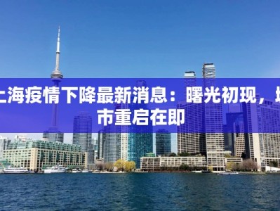 上海疫情下降最新消息：曙光初现，城市重启在即