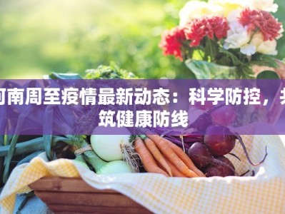 河南周至疫情最新动态：科学防控，共筑健康防线