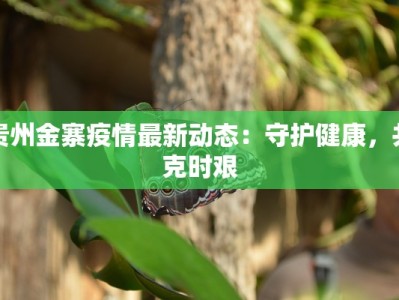 贵州金寨疫情最新动态：守护健康，共克时艰