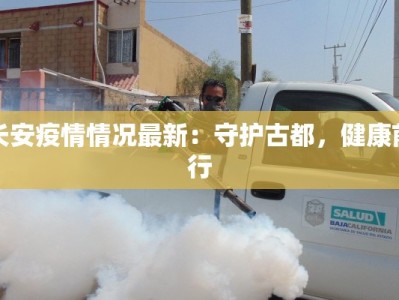 长安疫情情况最新：守护古都，健康前行