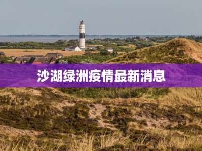 沙湖绿洲疫情最新消息