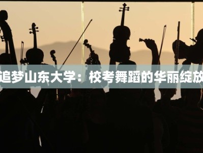 追梦山东大学：校考舞蹈的华丽绽放