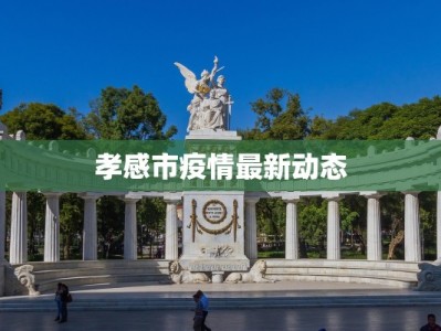 孝感市疫情最新动态