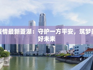 疫情最新菱湖：守护一方平安，筑梦美好未来