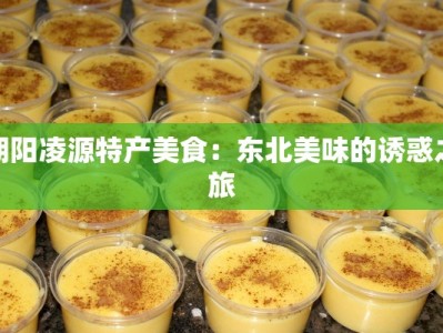 朝阳凌源特产美食：东北美味的诱惑之旅