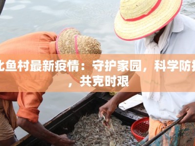 北鱼村最新疫情：守护家园，科学防控，共克时艰