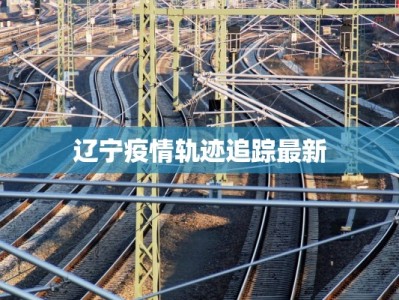 辽宁疫情轨迹追踪最新