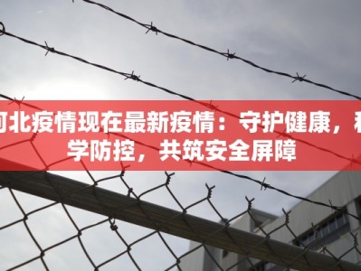 河北疫情现在最新疫情：守护健康，科学防控，共筑安全屏障