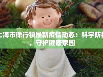 上海市徐行镇最新疫情动态：科学防控，守护健康家园