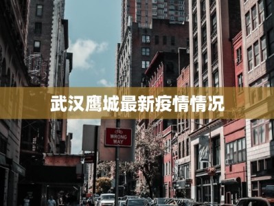 武汉鹰城最新疫情情况