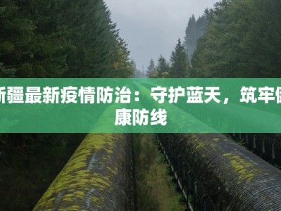 奉贤最新疫情情报情况