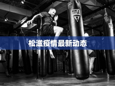 晋江泉州最新防疫情况：守护健康，拥抱美好生活