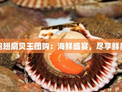 鲍翅扇贝王团购：海鲜盛宴，尽享鲜美
