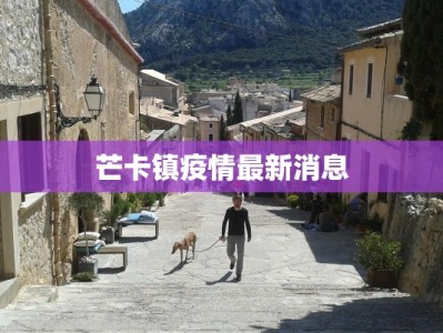 芒卡镇疫情最新消息