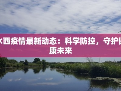 水西疫情最新动态：科学防控，守护健康未来
