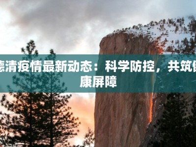 德清疫情最新动态：科学防控，共筑健康屏障