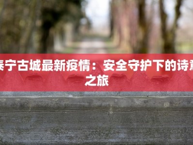 泰宁古城最新疫情：安全守护下的诗意之旅