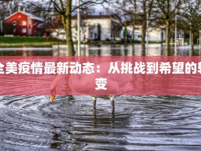 全美疫情最新动态：从挑战到希望的转变