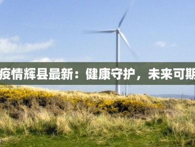 惠东西湖最新疫情：守护健康，拥抱安心生活