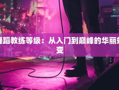 舞蹈教练等级：从入门到巅峰的华丽蜕变