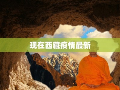 现在西藏疫情最新