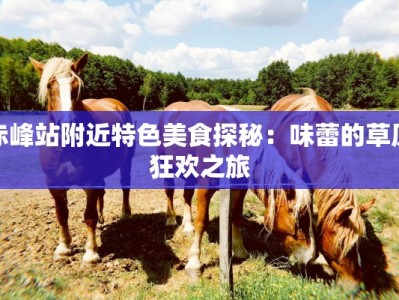 赤峰站附近特色美食探秘：味蕾的草原狂欢之旅