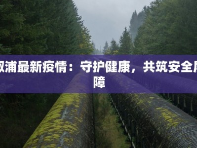 中南最新疫情消息：守护健康，安心前行
